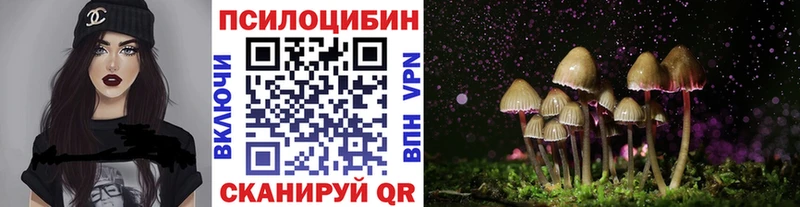 Псилоцибиновые грибы мицелий  наркотики  Устюжна 